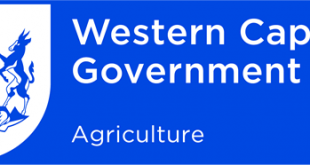 Western Cape Government Jobs Careers Apprenticeships