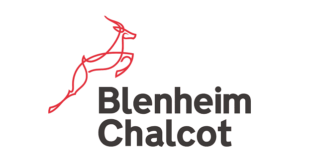 Blenheim Chalcot jobs careers vacancies