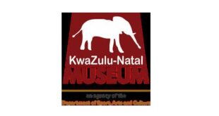 kzn museum jobs careers vacancies
